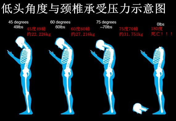 低頭角度與頸椎承受壓力示意圖