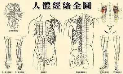 經(jīng)絡(luò)通則百病消！ 6個現(xiàn)象判斷經(jīng)絡(luò)通不通